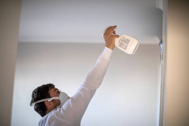 Best HVAC Mold Remediation in Highpoint, OH