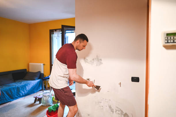 Best Residential Mold Remediation in Highpoint, OH