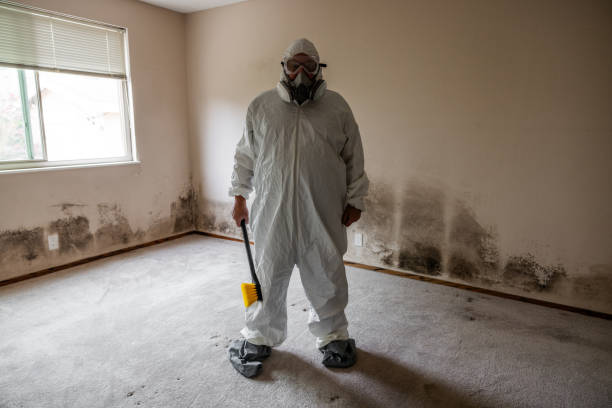 Best Mold Testing and Inspection Services in Highpoint, OH
